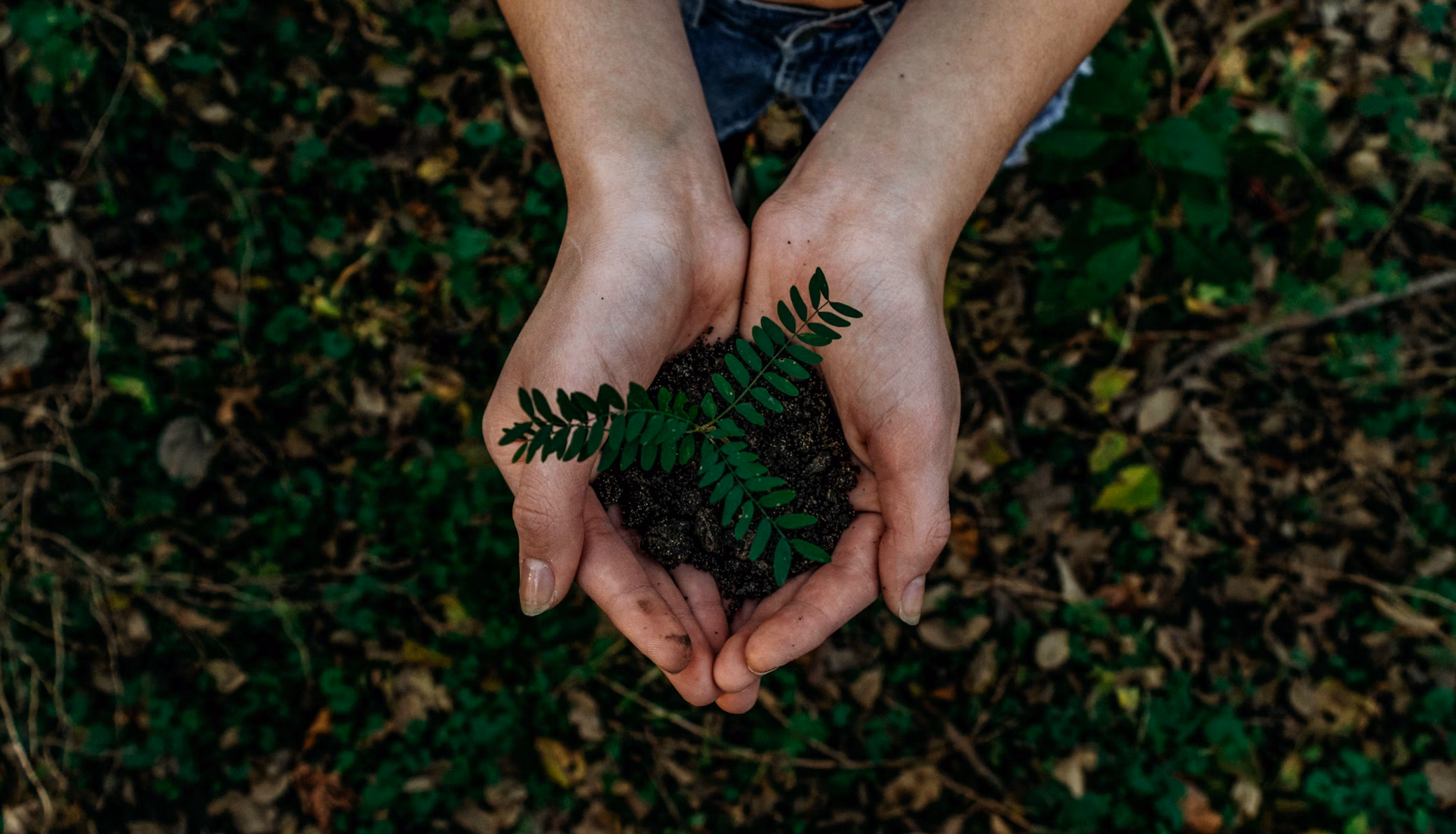 Sustainable Blockchain